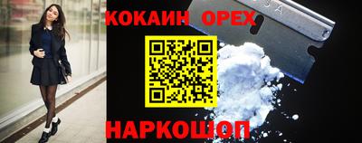 бошки Кингисепп