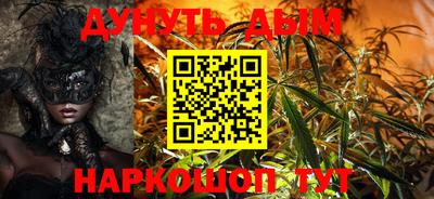 бошки Кингисепп