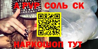 бошки Кингисепп