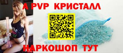 бошки Кингисепп