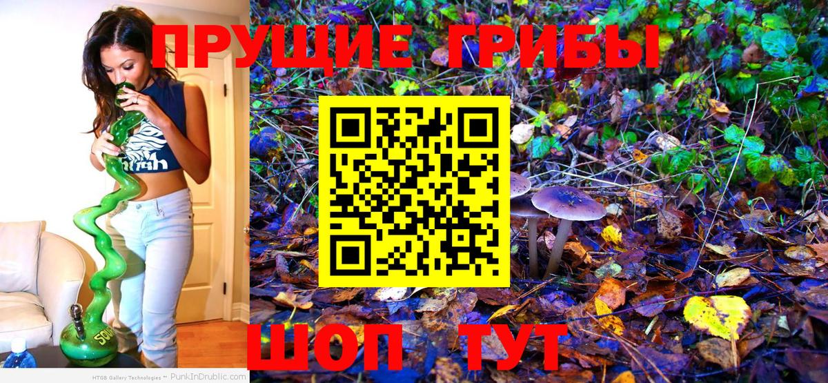 Галлюциногенные грибы MAGIC MUSHROOMS  Псилоцибиновые грибы мухоморы  Костомукша  Вход с VPN 